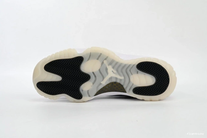 11 DMP Air Jordan CT8012-170 0723